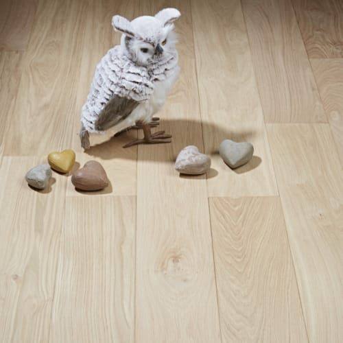 SRC parquet massif chêne français Givry brut - 14 x 150 mm